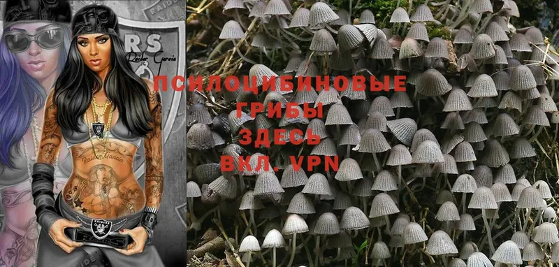 Псилоцибиновые грибы MAGIC MUSHROOMS  Белово 